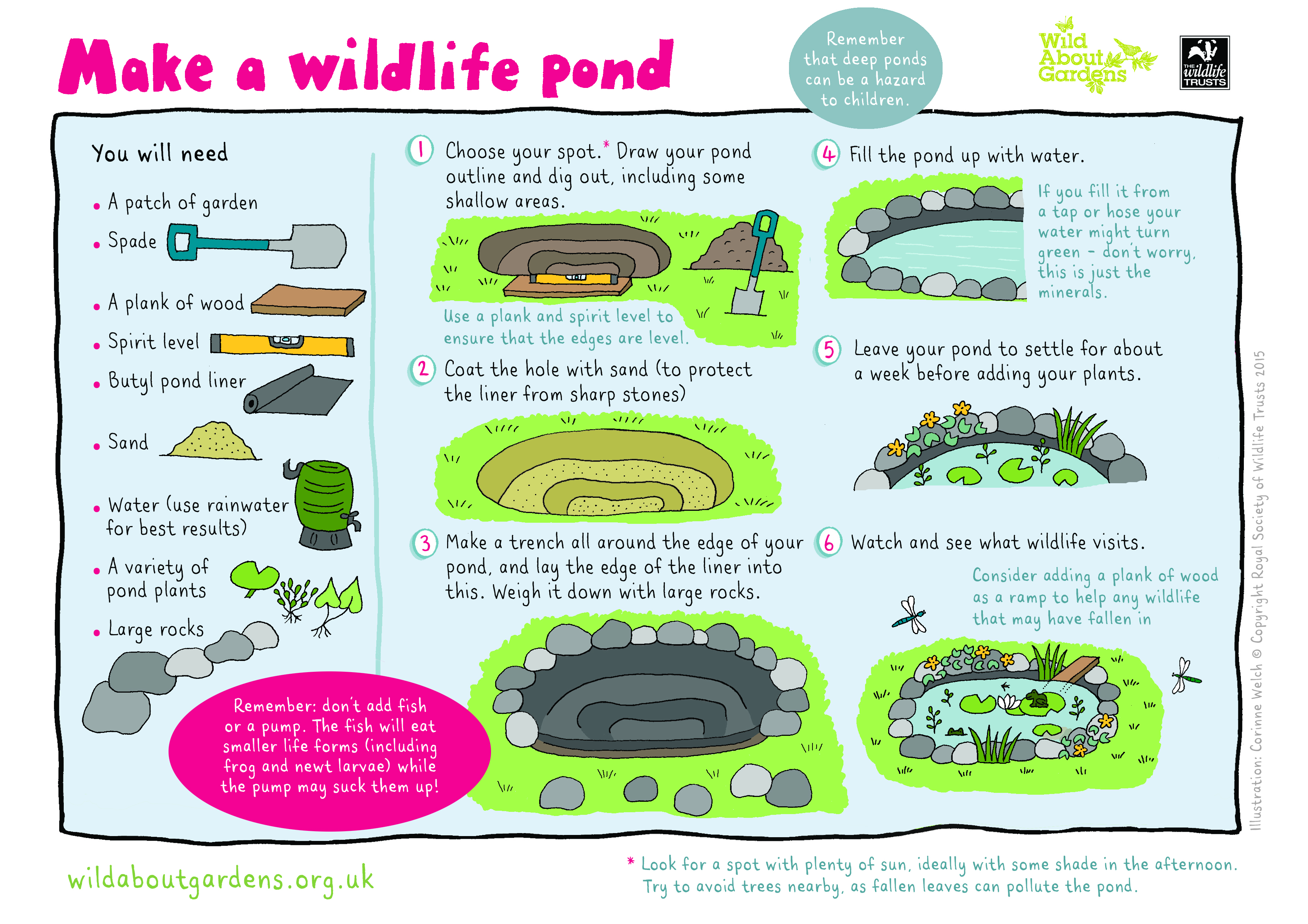 How to help wildlife Surrey Wildlife Trust